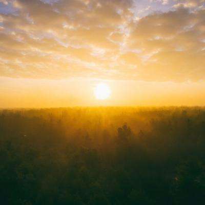 足球滚球的正规平台app手机app下载