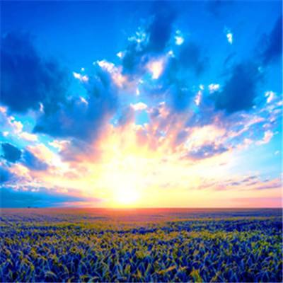 ag入口官网登录下载手机版