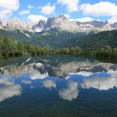 凤凰彩票最新版安卓版